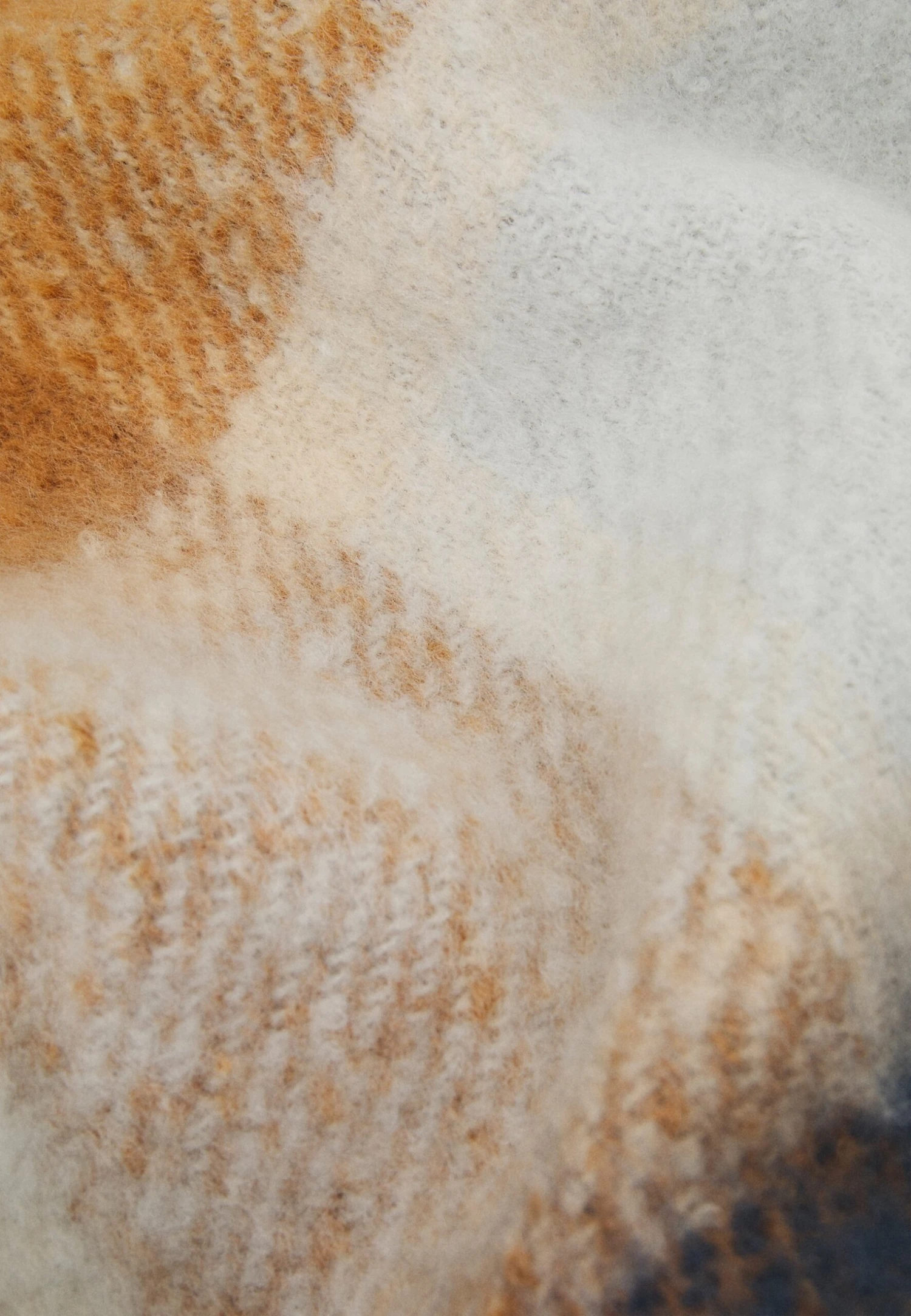 Anna Field Sjaal - Brown/White/Blue 4 Anna Field Sjaal - Brown/White/Blue - Afbeelding 2